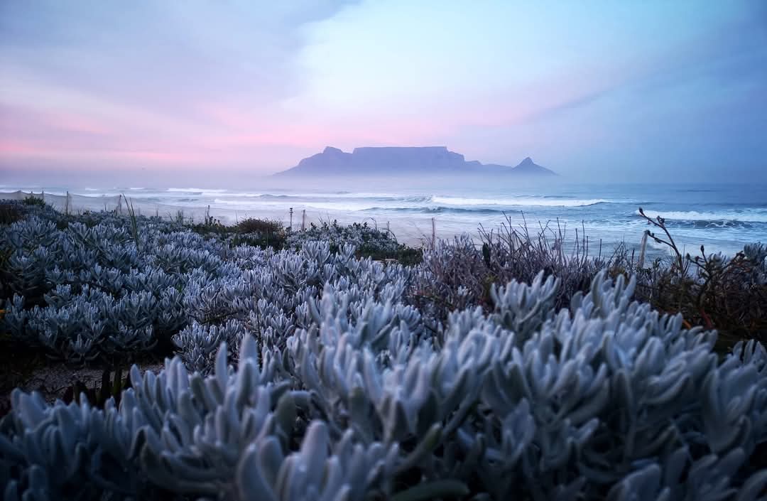 WhatsApp Image 2025-03-03 at 10.26.41